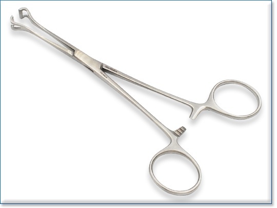 Babcock Intestinal Forceps